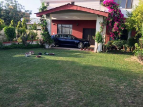Villa with tropical garden